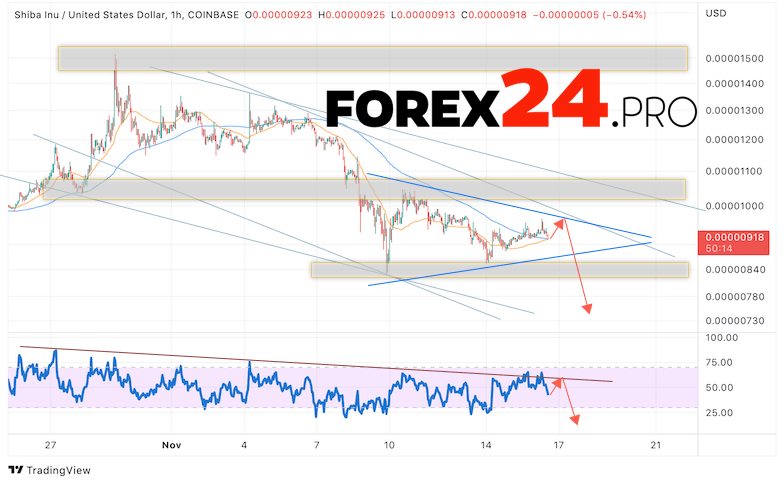 SHIBA INU Forecast November 17, 2022
