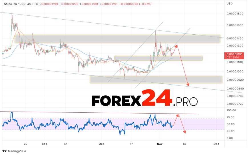 SHIBA INU Forecast November 9, 2022