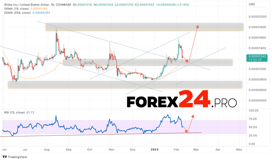 SHIBA INU Forecast February 13 — 17, 2023