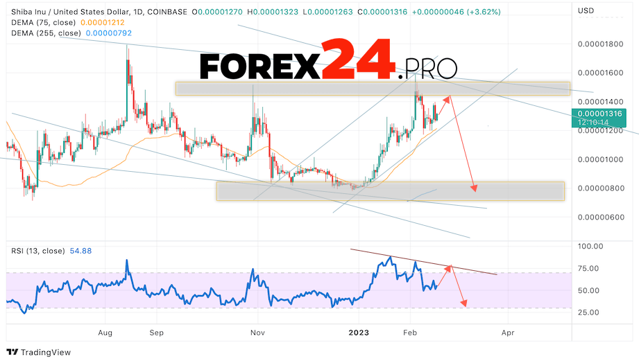 SHIBA INU Forecast February 20 — 24, 2023