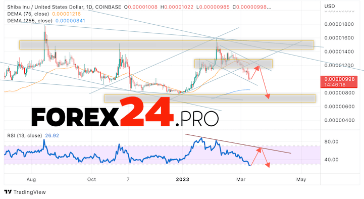 SHIBA INU Weekly Forecast March 13 — 17, 2023