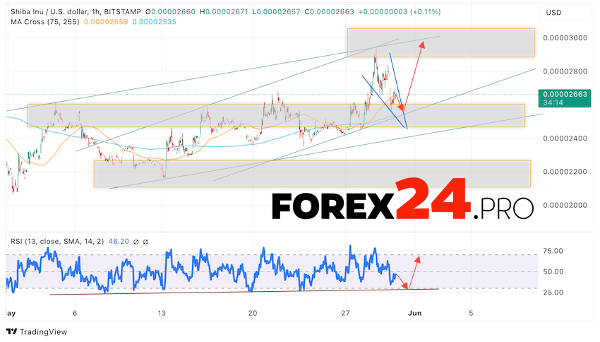 Shiba Inu forecast for May 31, 2024