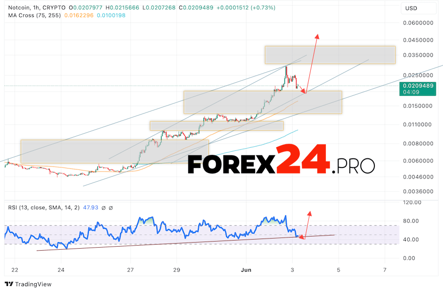 Notcoin forecast for June 4, 2024